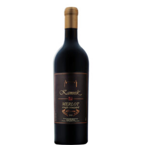 Вино Kamnik Merlot Single Vineyard 2020 0,75L